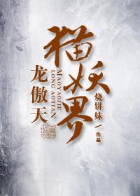 龙傲天猫小九历险记