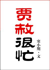 贾赦很忙 作者寒小期