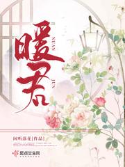 暖君提取码