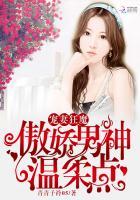 宠妻狂魔排行