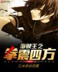 海贼王之王者之拳