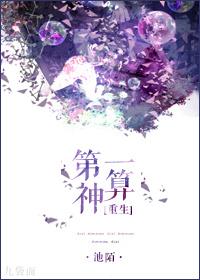 第一神算大小姐免费阅读全文