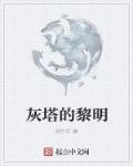 灰塔黎明txt