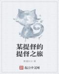 提督的决断 攻略