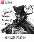 麦克雷武器原型
