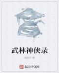 武林侠客录总共有多少周目