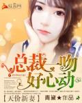 天价宠儿总裁的新妻txt