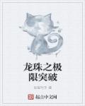 龙珠之无限升级