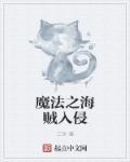 魔法士海贼卡