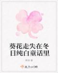 葵花走失在那年夏天