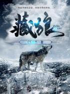 藏狼穿骨膏主要治什么