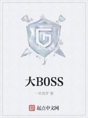大B0SS直聘网