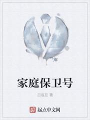 保卫家丁