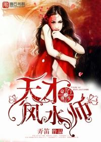 重生豪门之天才风水师