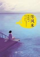 等风来不如追风去的意思