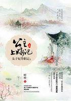 公主太子妃皇上