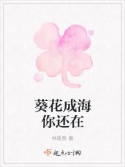 葵花回来了