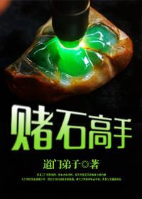 赌石高手双修猎美高手顾茗