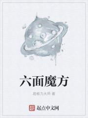 六面魔方颜色对照表