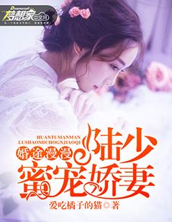 婚途漫漫陆少求放过