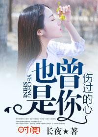 也许是我伤了你的心歌曲