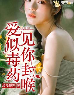 远走高走金志文赖美云