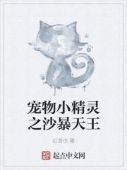 神奇宝贝之沙暴之王