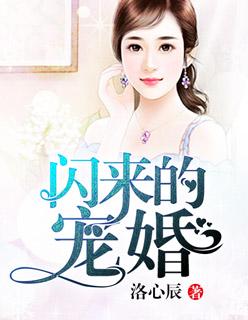 前妻再嫁我一次免费阅读