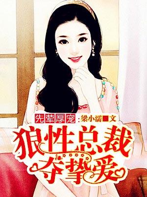 先做后爱狼性总裁夜欢宠txt