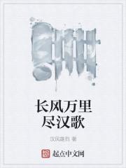 长风万里近汉歌
