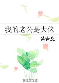 我的老公是大佬简介