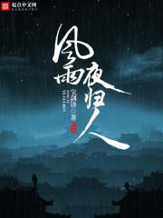 风雪夜归人翡翠