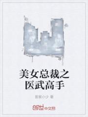 美女总裁的医武兵王聂飞txt