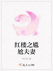 穿越红楼之尴尬夫妻