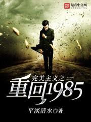 完美主义重生1985