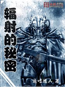 辐射的秘密VIP原版