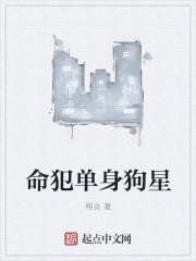 单身狗的伤害