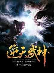 逆天武神纳兰雪