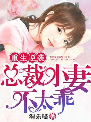 重生逆袭大小姐画风不对时锦叶琛