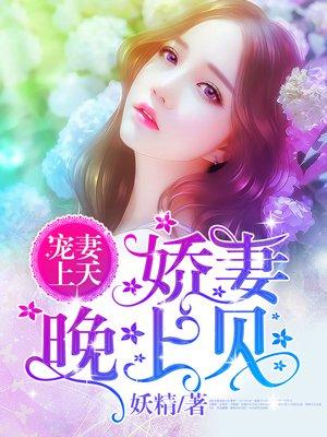 宠妻上天娇妻晚上见