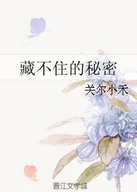 藏不住的秘密歌词