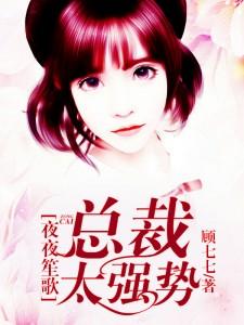 总裁太凶猛顾