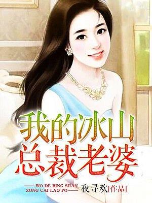 我的冰山总裁老婆杨心怡TXT