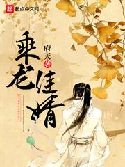 乘龙佳婿打一生肖是马
