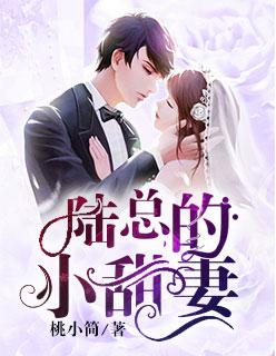 陆总的小甜妻漫画在线看