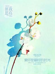 爱你是最好的时光结局