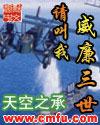 请叫我威廉三世全文阅读
