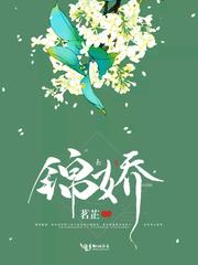 锦娇衣属于什么档次