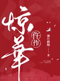 仵作惊华江默身份