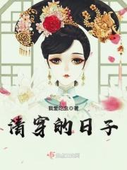 清穿的日子阅读网